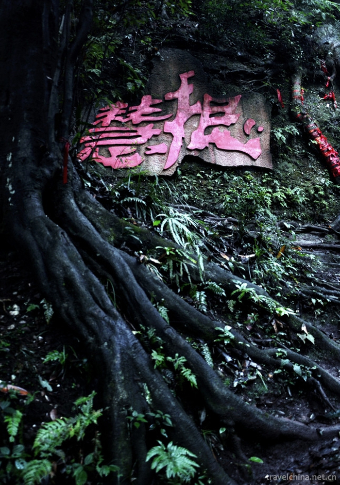 Mount Qingcheng2
