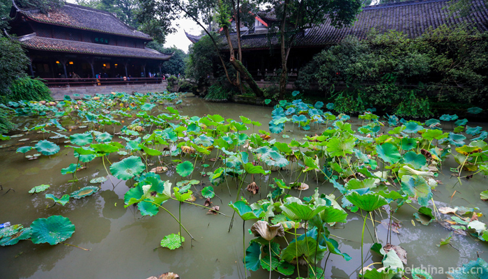 Wuhou Temple in Chengdu13
