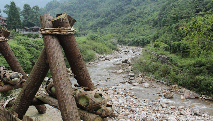 Mount Qingcheng8