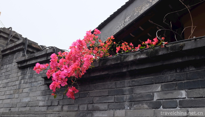 Kuan and Zhai Alley22