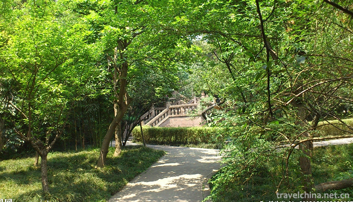 Du Fu Cottage11