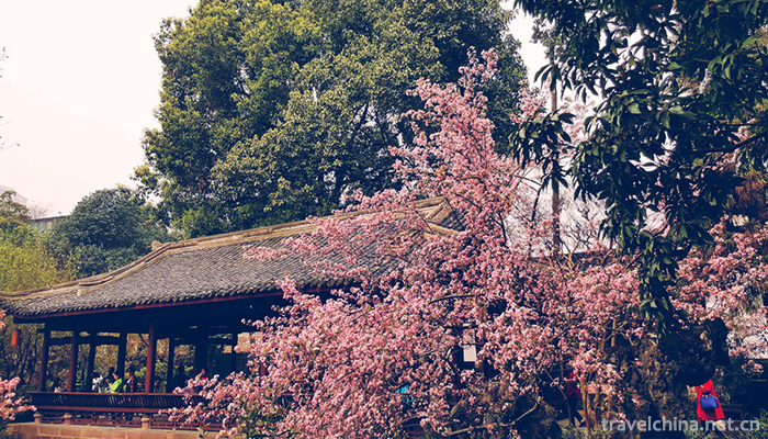 Du Fu Cottage15