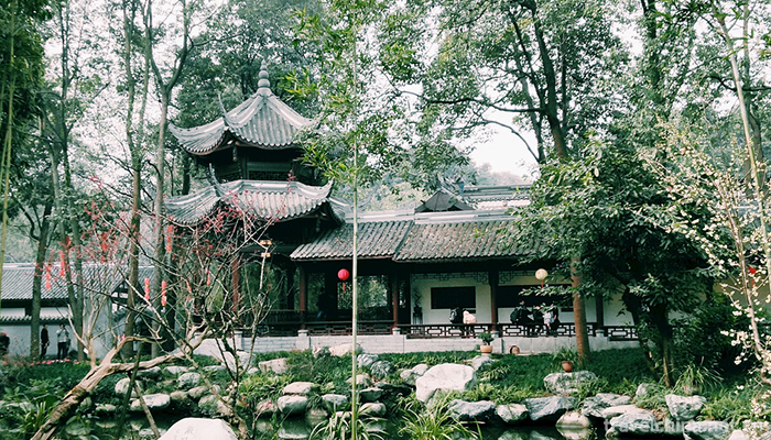Du Fu Cottage18