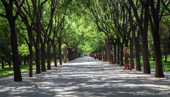 Tiantan Park7