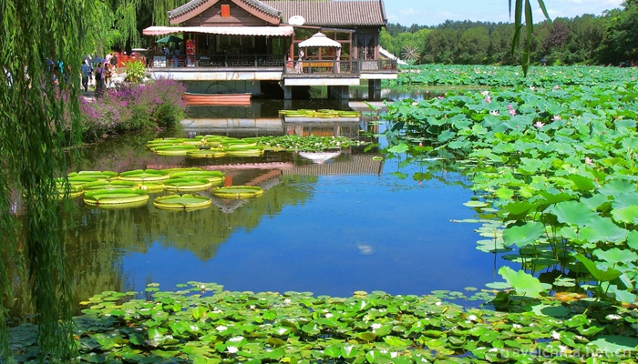 Old Summer Palace-Yuanmingyuan12