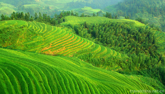 The-longji-yao-and-zhuang-ethnic-terrace-4