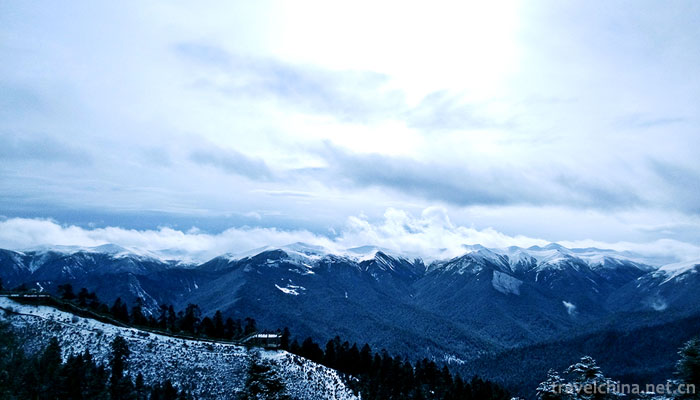 Lurang-Linhai-(Lurang-virgin-forest)14