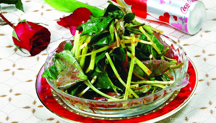Houttuynia-cordata-Thunb-5