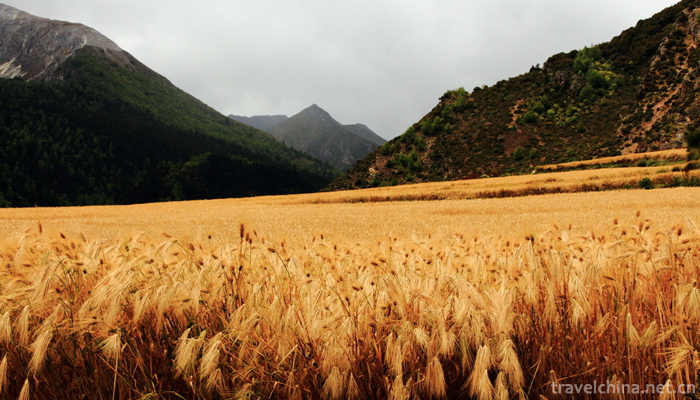 Daocheng-Yading-County-15