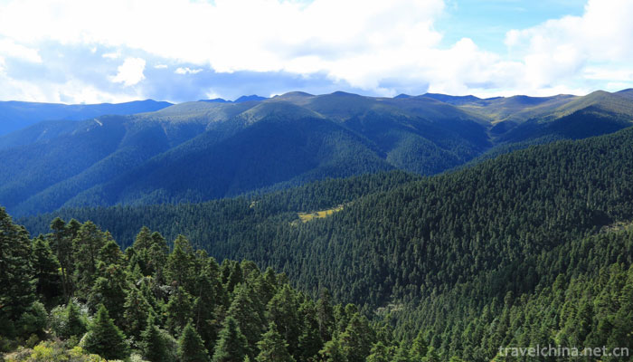 Lurang-Linhai-(Lurang-virgin-forest)16