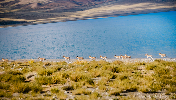 Lhanag-tso-Rakshas-7