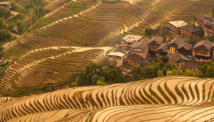 The-longji-yao-and-zhuang-ethnic-terrace-13