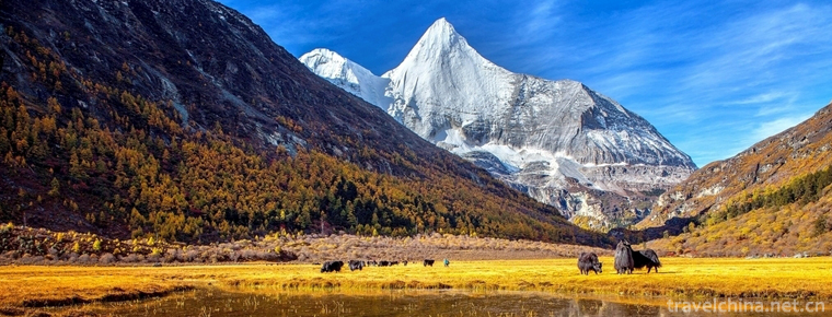 Daocheng County 