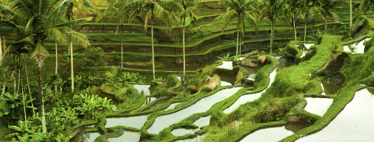 The longji yao and zhuang ethnic terrace