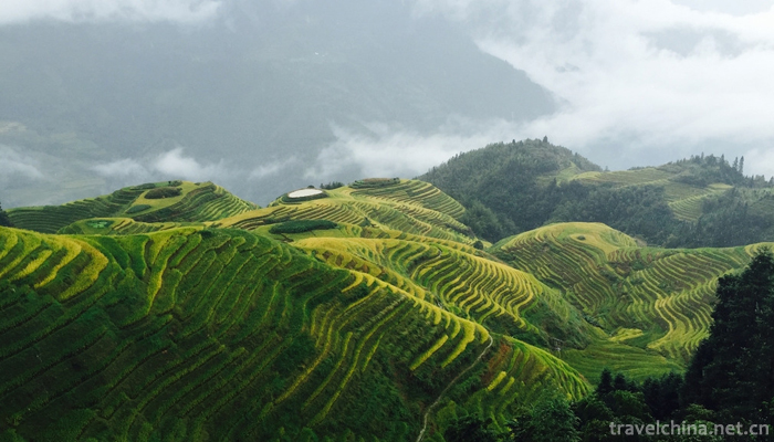 The-longji-yao-and-zhuang-ethnic-terrace-10