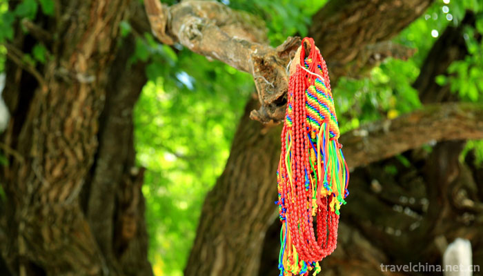 Yarlung-Zangbo-Grand-Canyon13
