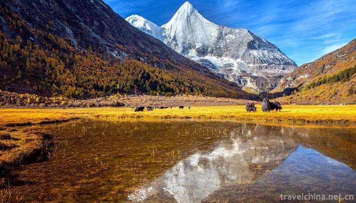 Daocheng County 19