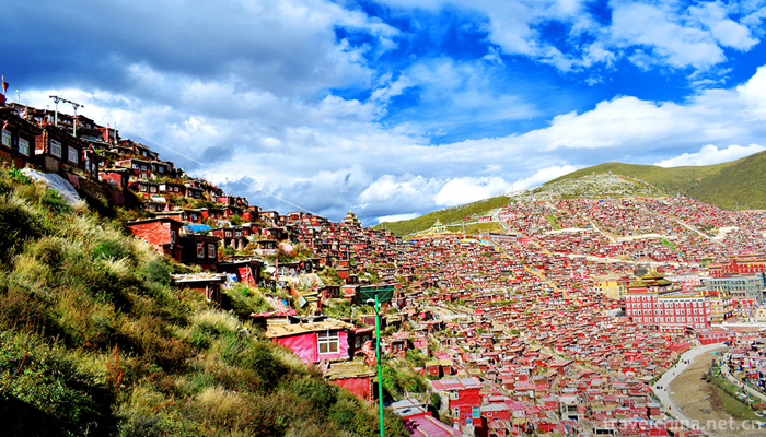 Sertar-County-9