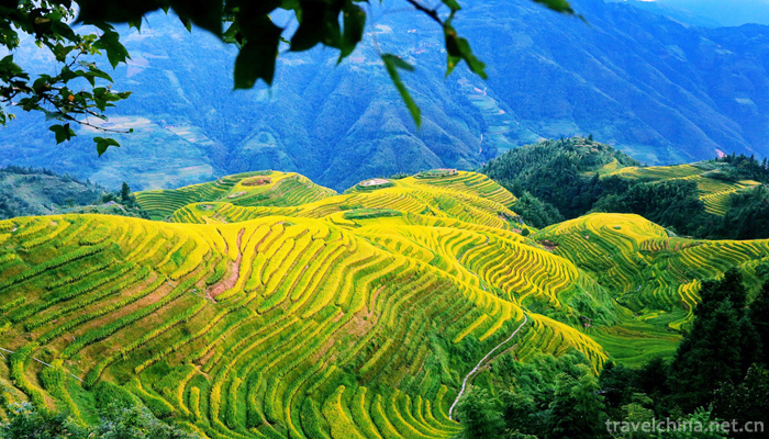 The-longji-yao-and-zhuang-ethnic-terrace-2
