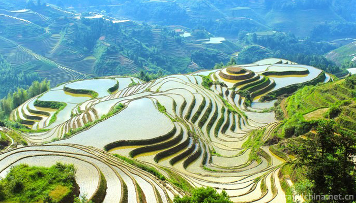 The-longji-yao-and-zhuang-ethnic-terrace-11