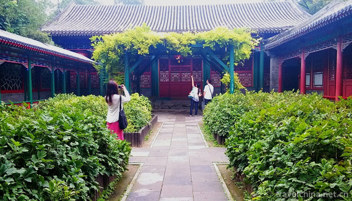 Prince kungÃƒÂ¢Ã¢â€šÂ¬Ã¢â€žÂ¢s Mansion3