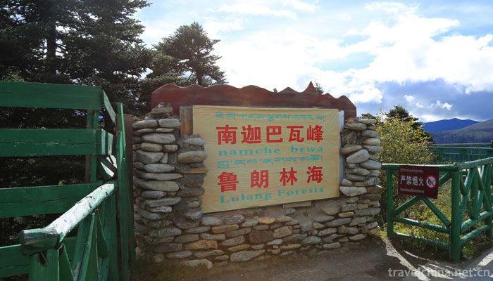 Lurang-Linhai-(Lurang-virgin-forest)17