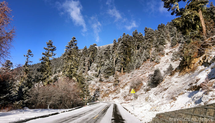 Lurang-Linhai-(Lurang-virgin-forest)13
