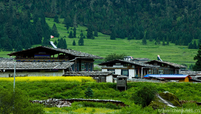 Lurang-Linhai-(Lurang-virgin-forest)10