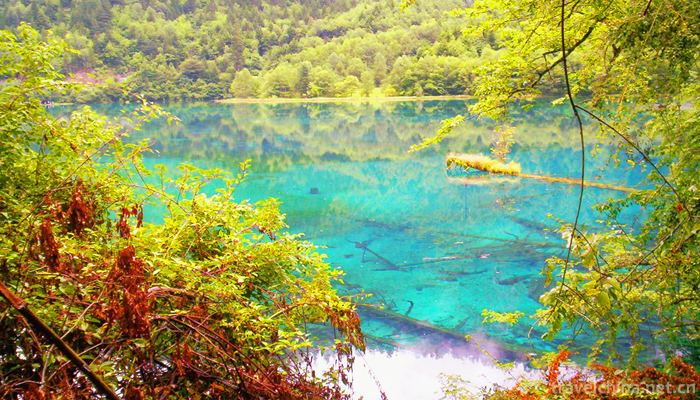 Jiuzhaigou-Valley-19