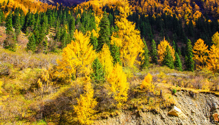 Aba-Tibetan-and-Qiang-Autonomous-Prefecture-8