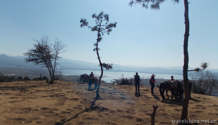 Tea-horse-ancient-road-1