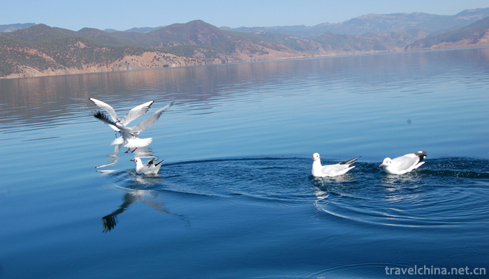 Lugu-Lake-13