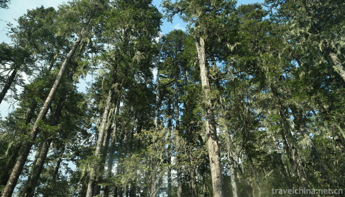 Pudacuo-National-Park-7