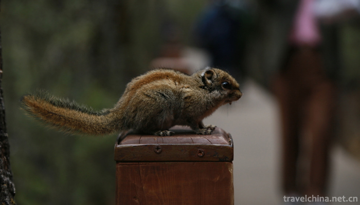 Pudacuo-National-Park-8