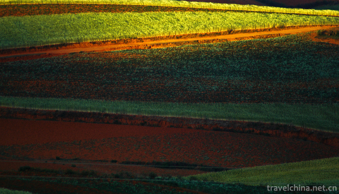 Dongchuan-Red-Land-Scenic-Area-7