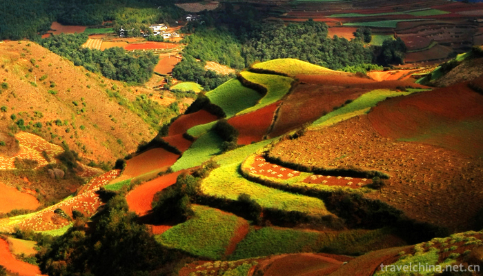 Dongchuan-Red-Land-Scenic-Area-2