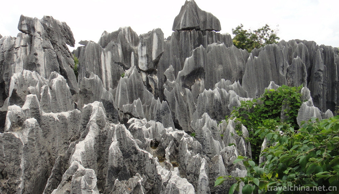 Kunming-City,Stone-Forest-Scenic-4