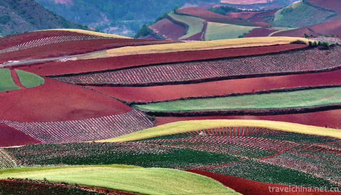 Dongchuan-Red-Land-Scenic-Area-11