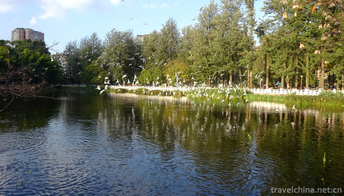 Green-Lake-Park-12