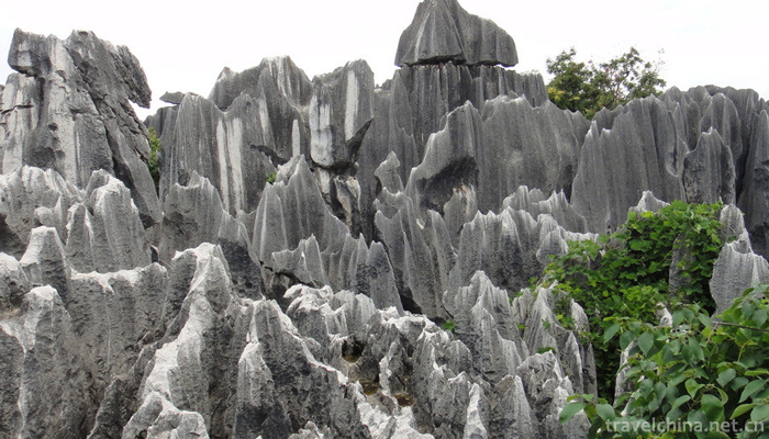 Kunming-City,Stone-Forest-Scenic-3