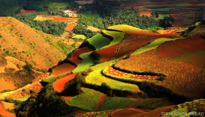 Dongchuan-Red-Land-Scenic-Area-5