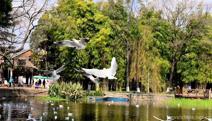 Green-Lake-Park-10