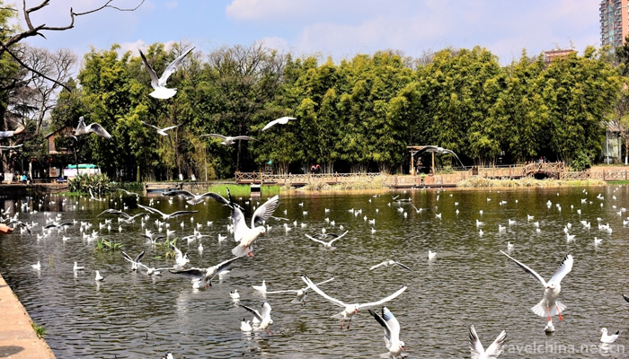 Green-Lake-Park-9