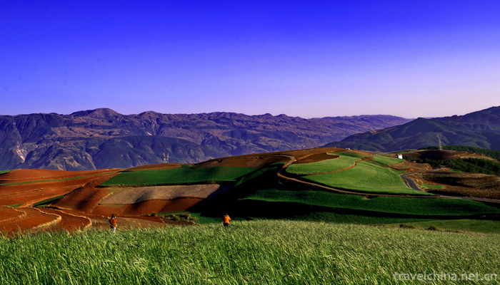 Dongchuan-Red-Land-Scenic-Area-15