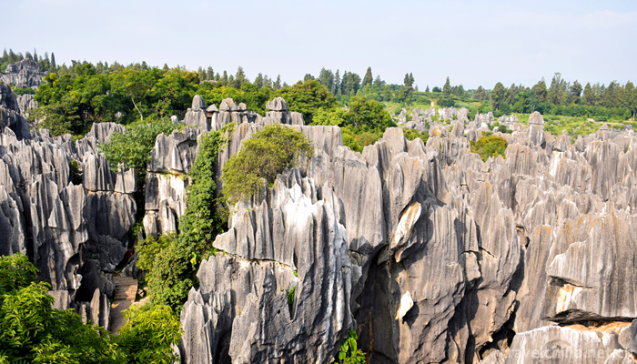 Kunming-City,Stone-Forest-Scenic-8