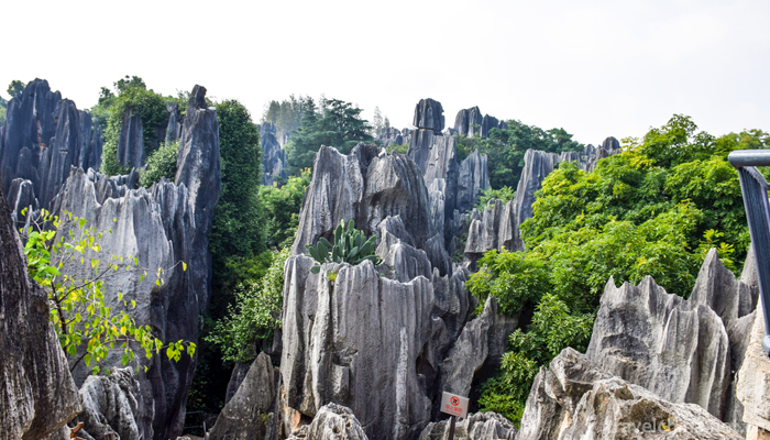 Kunming-City,Stone-Forest-Scenic-7