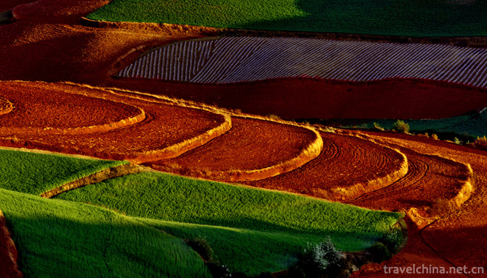 Dongchuan-Red-Land-Scenic-Area-16