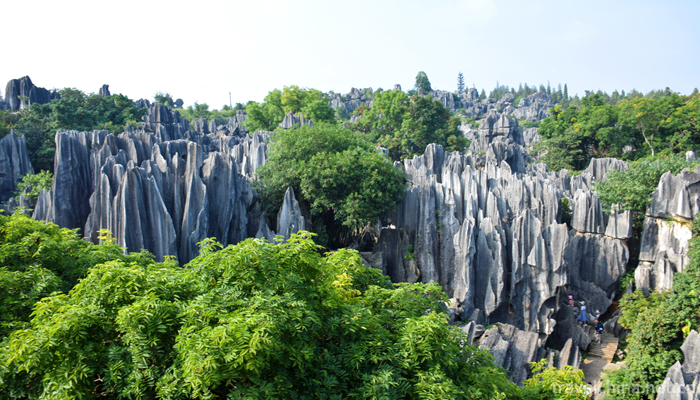 Kunming-City,Stone-Forest-Scenic-11