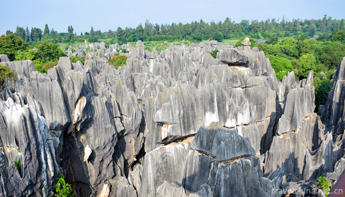 Kunming-City,Stone-Forest-Scenic-9