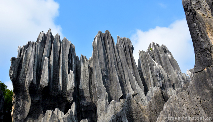 Kunming-City,Stone-Forest-Scenic-10